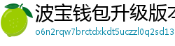 波宝钱包升级版本下载